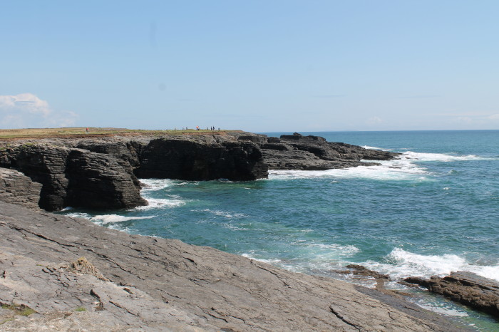 Hook Head, la scogliera