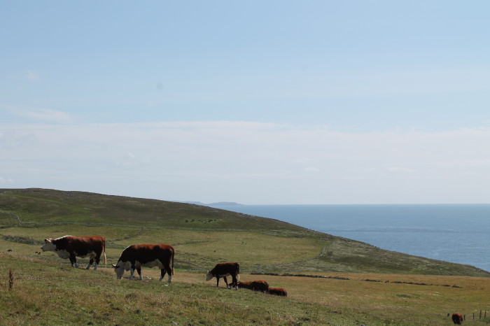 Mizen Head
