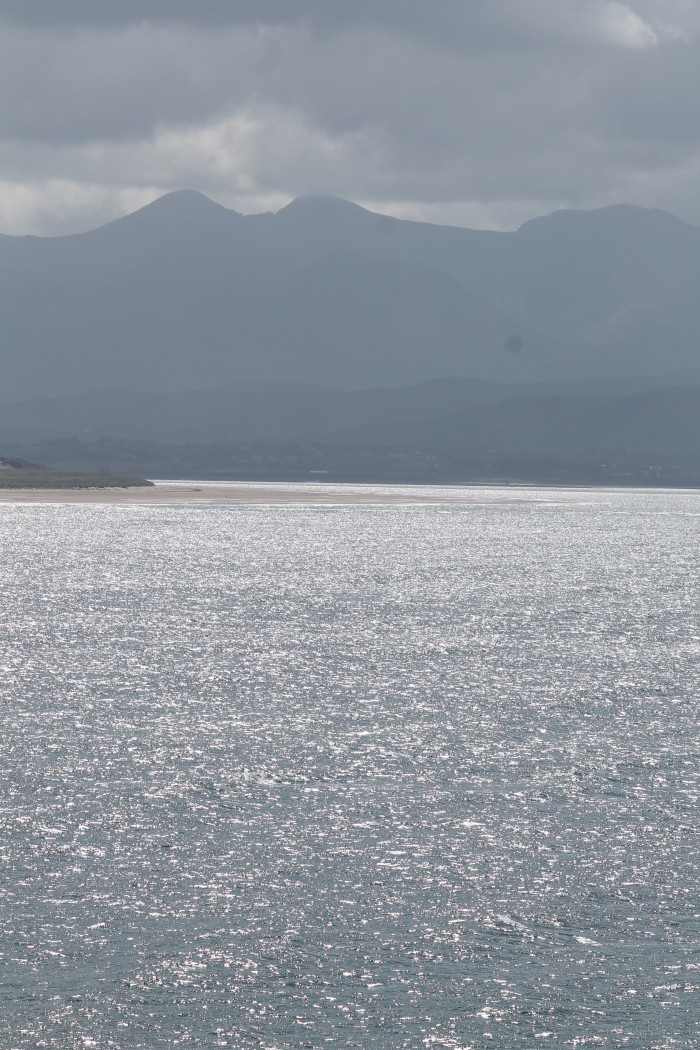 Dingle