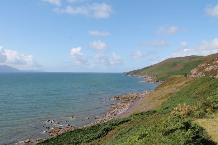 Dingle