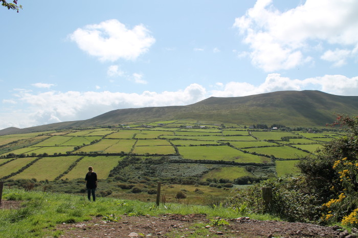 Dingle
