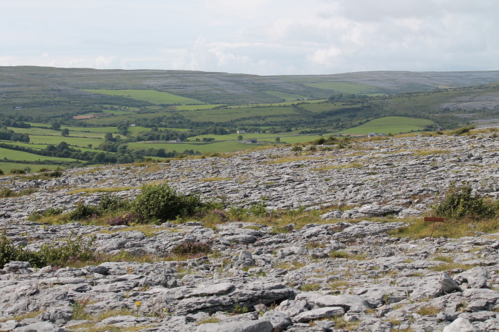 Burren