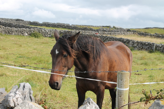 Isole Aran, Inis Mór