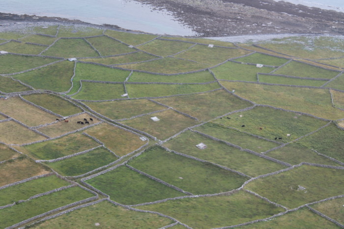 Isole Aran, vista dall'alto di Inis Mór