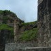 daula.03