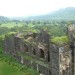 daula.09