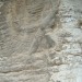 longmen36