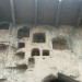 longmen7
