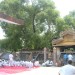 sarna.02