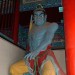 shaolin28